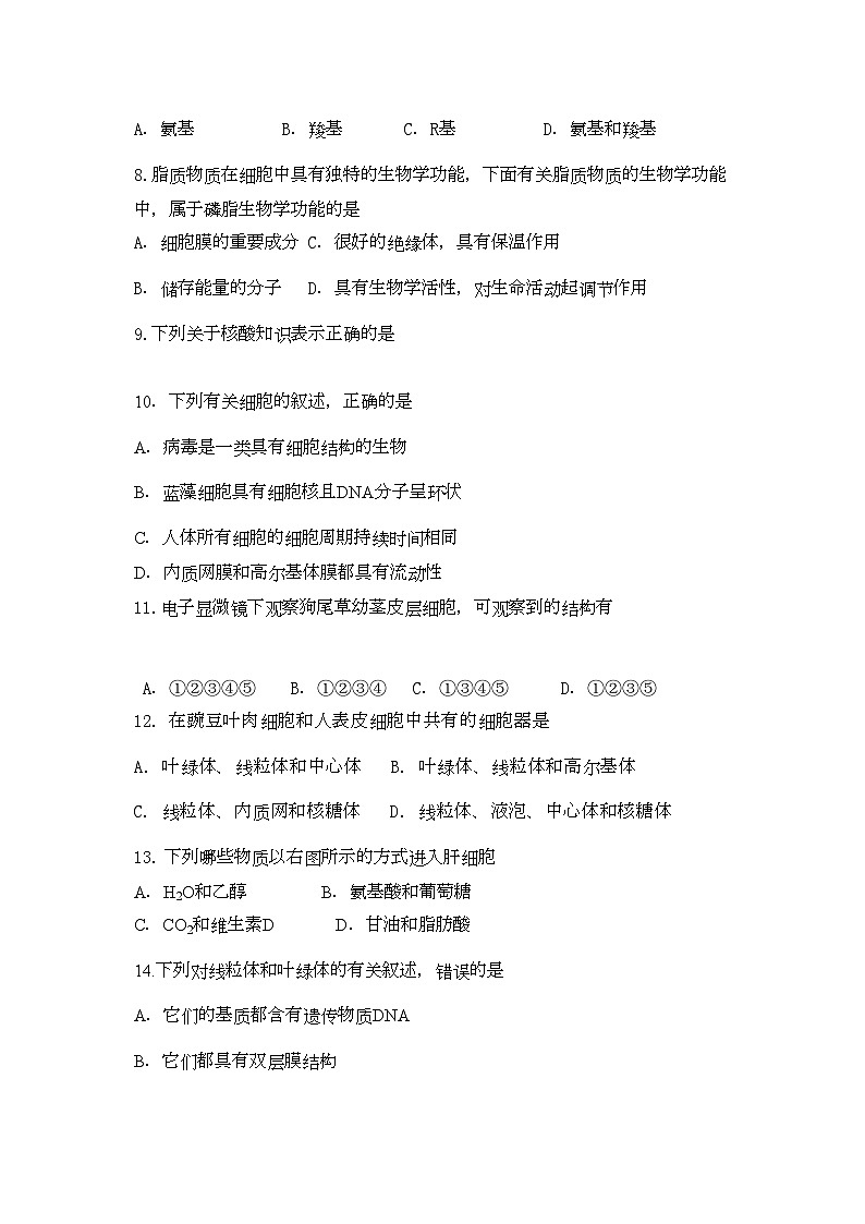2022年广西桂林11高二生物上学期期中考试理旧人教版会员独享第2页