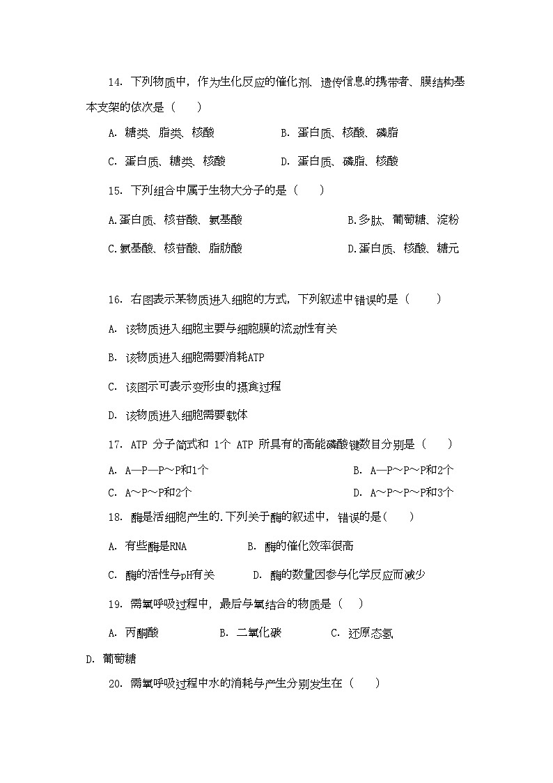 2022年浙江省苍南高二生物上学期期中考试理试题浙科版会员独享第3页
