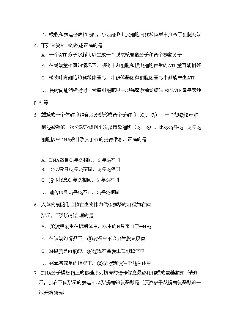 2022年江苏省海安县南莫高三生物上学期期中试卷会员独享第2页