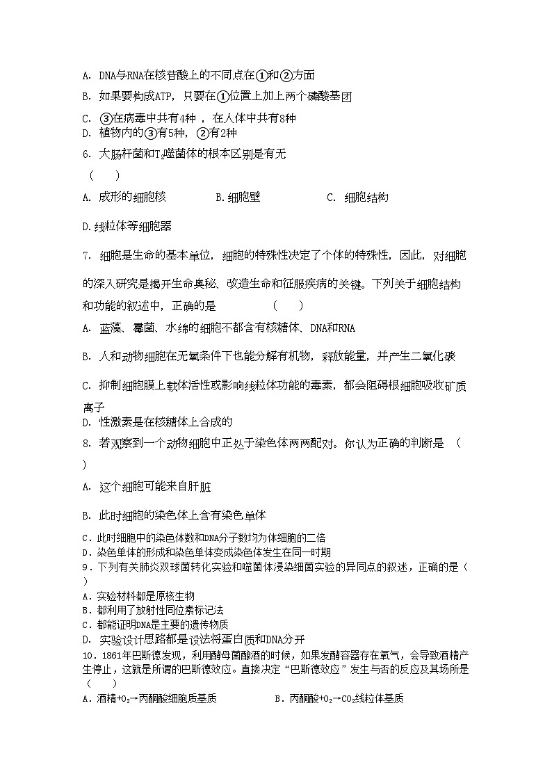 2022年江苏省盐城高三生物上学期期中考试新人教版会员独享第2页