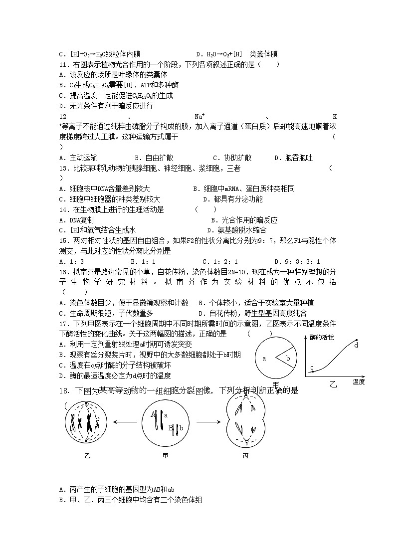 2022年江苏省盐城高三生物上学期期中考试新人教版会员独享第3页