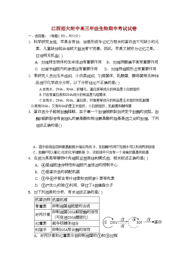 2022年江西省高三生物期中考试新人教版会员独享第1页