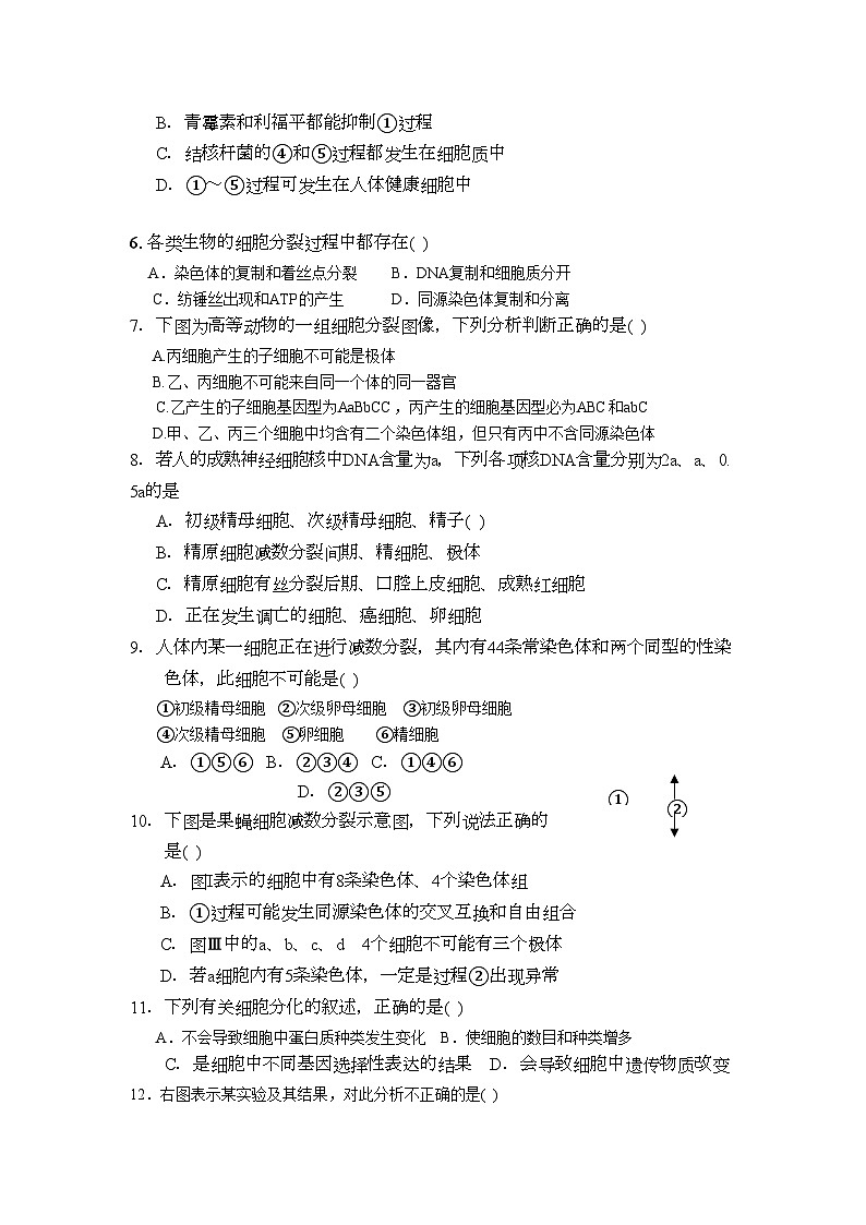 2022年江西省高三生物期中考试新人教版会员独享第2页