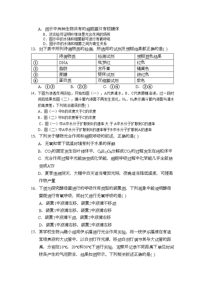 2022年江西省高三生物期中考试新人教版会员独享第3页