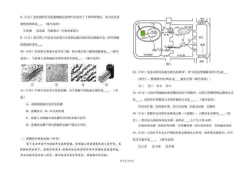 上海师范大学附属虹口中学2024—2025学年高二上学期期中考试生物试题02
