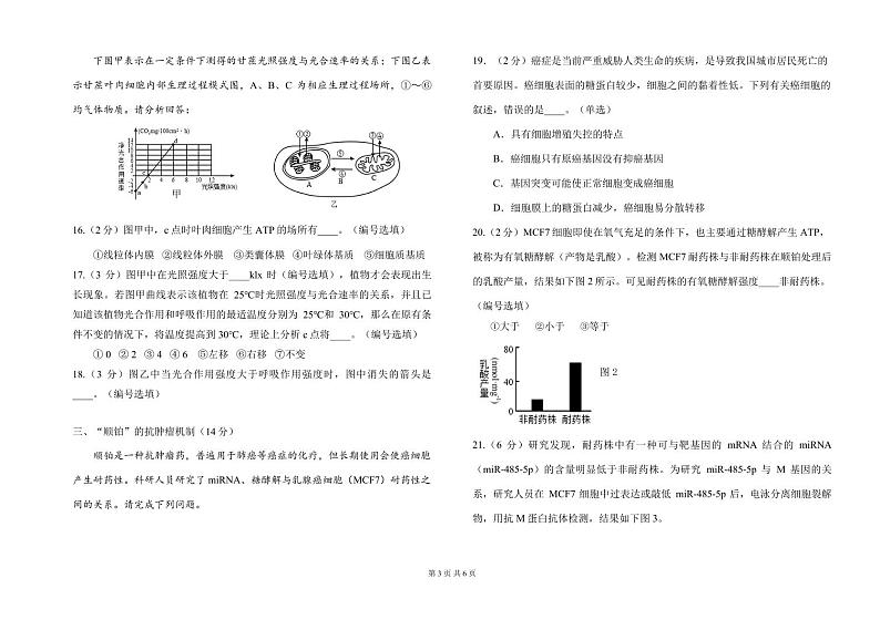上海师范大学附属虹口中学2024—2025学年高二上学期期中考试生物试题03