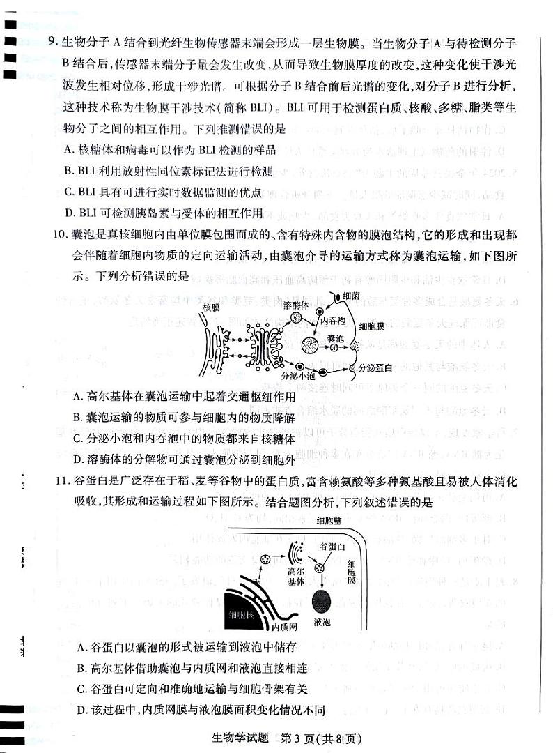 湖南省2024-2025学年高一上学期11月期中生物试题第3页