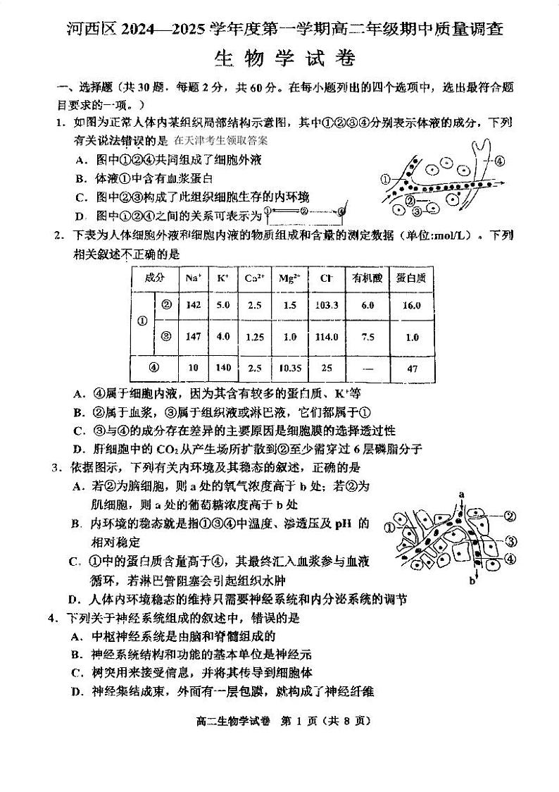 天津市河西区2024-2025学年高二上学期期中生物试卷第1页