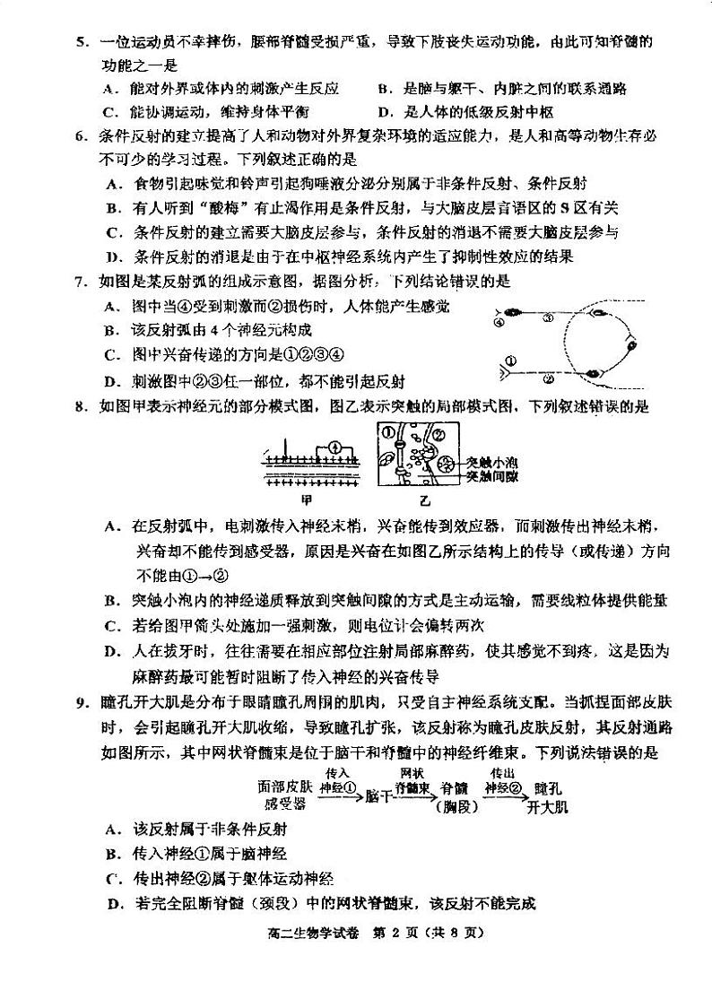 天津市河西区2024-2025学年高二上学期期中生物试卷第2页