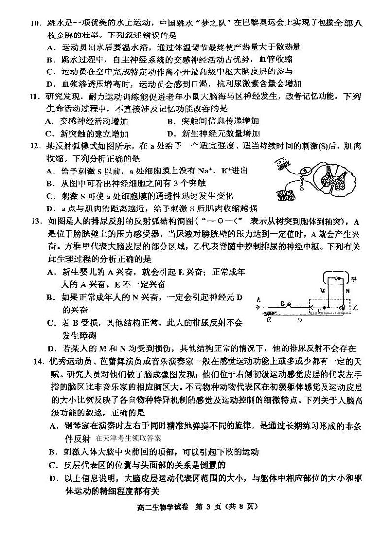 天津市河西区2024-2025学年高二上学期期中生物试卷第3页