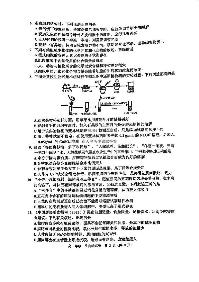 天津市河西区2024-2025学年高一上学期期中生物试卷第2页