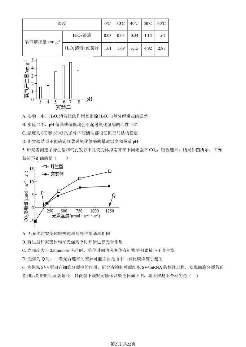 2024北京八十中高三天一大联考2024-2025学年上学期高中毕业班阶段性测试(一)生物学9月月考生物试题及答案02