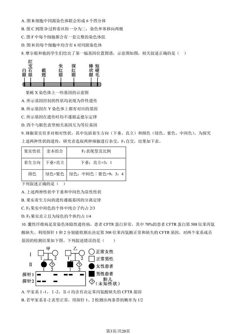 2024北京五十五中高三上学期10月月考生物试题及答案第3页