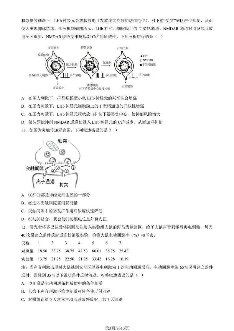 2024北京清华附中朝阳学校高二上学期10月月考生物试题及答案第3页