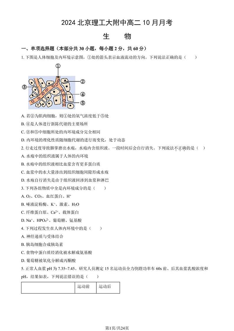 2024北京理工大附中高二上学期10月月考生物试题及答案第1页