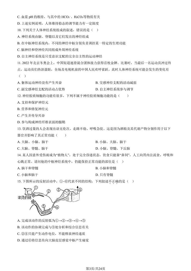 2024北京理工大附中高二上学期10月月考生物试题及答案第3页
