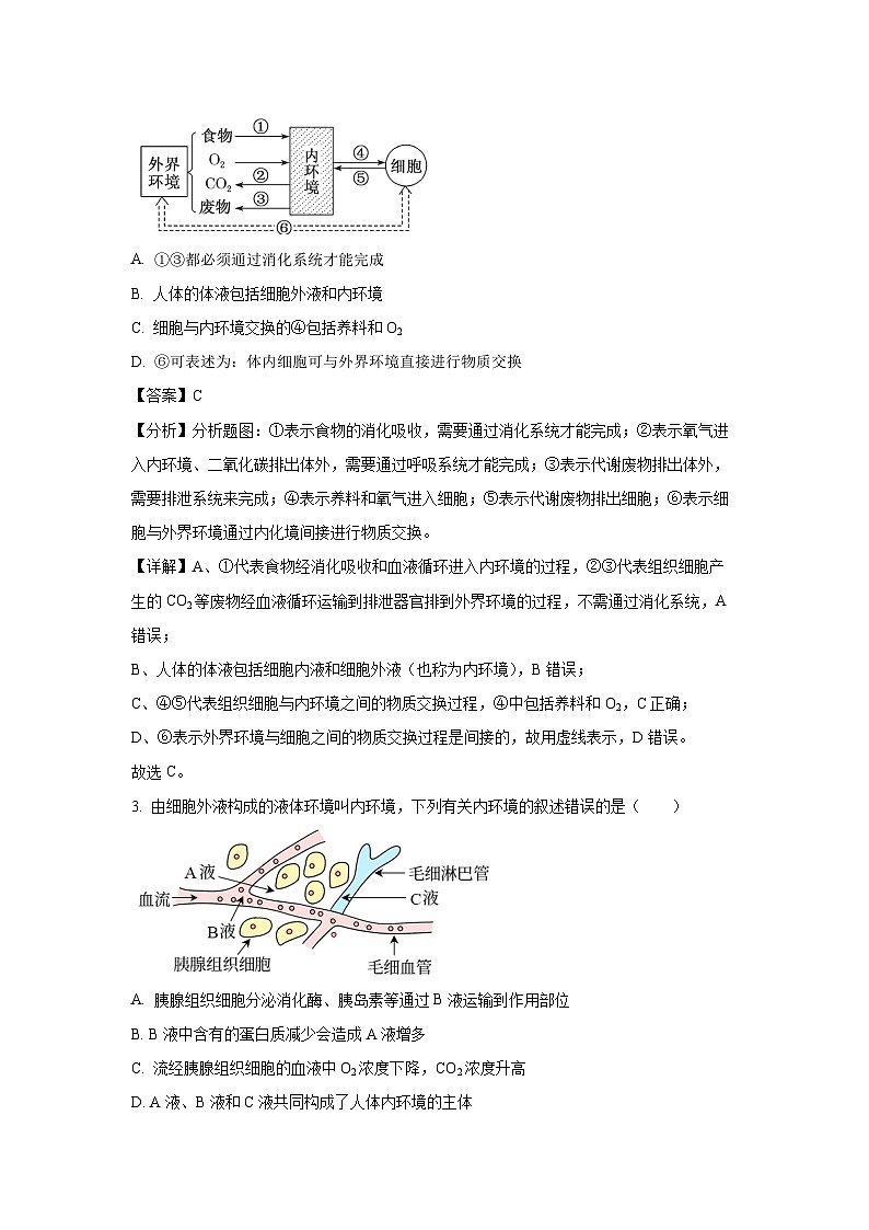 甘肃省张掖市部分学校2024-2025学年高二上学期9月月考生物试卷[解析版]第2页