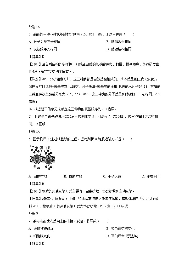 上海市闵行区六校联考2024-2025学年高一上学期10月期中考试生物试卷[解析版]第3页