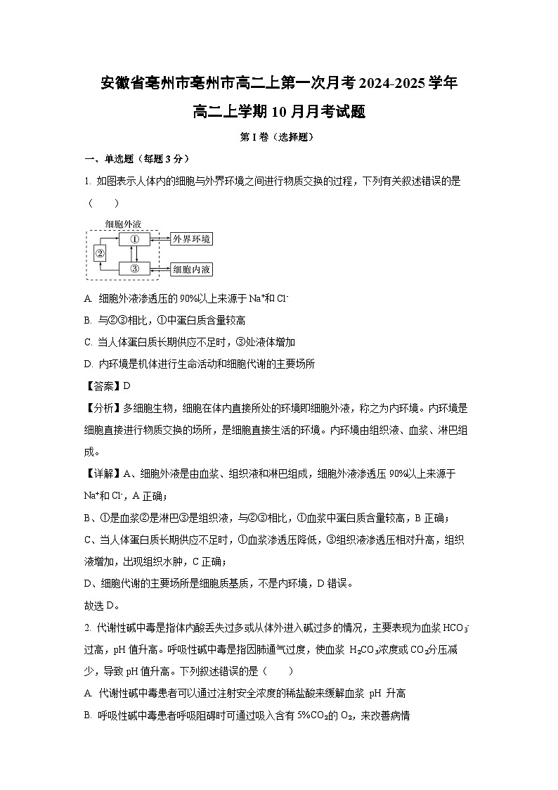 安徽省亳州市亳州市高二上第一次月考2024-2025学年高二上学期10月月考生物试卷[解析版]第1页