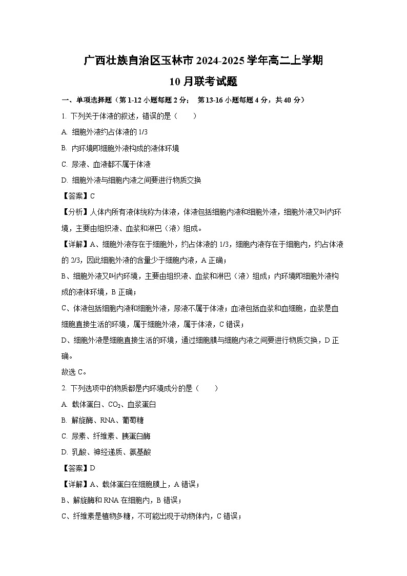 广西壮族自治区玉林市2024-2025学年高二上学期10月联考生物试卷[解析版]01