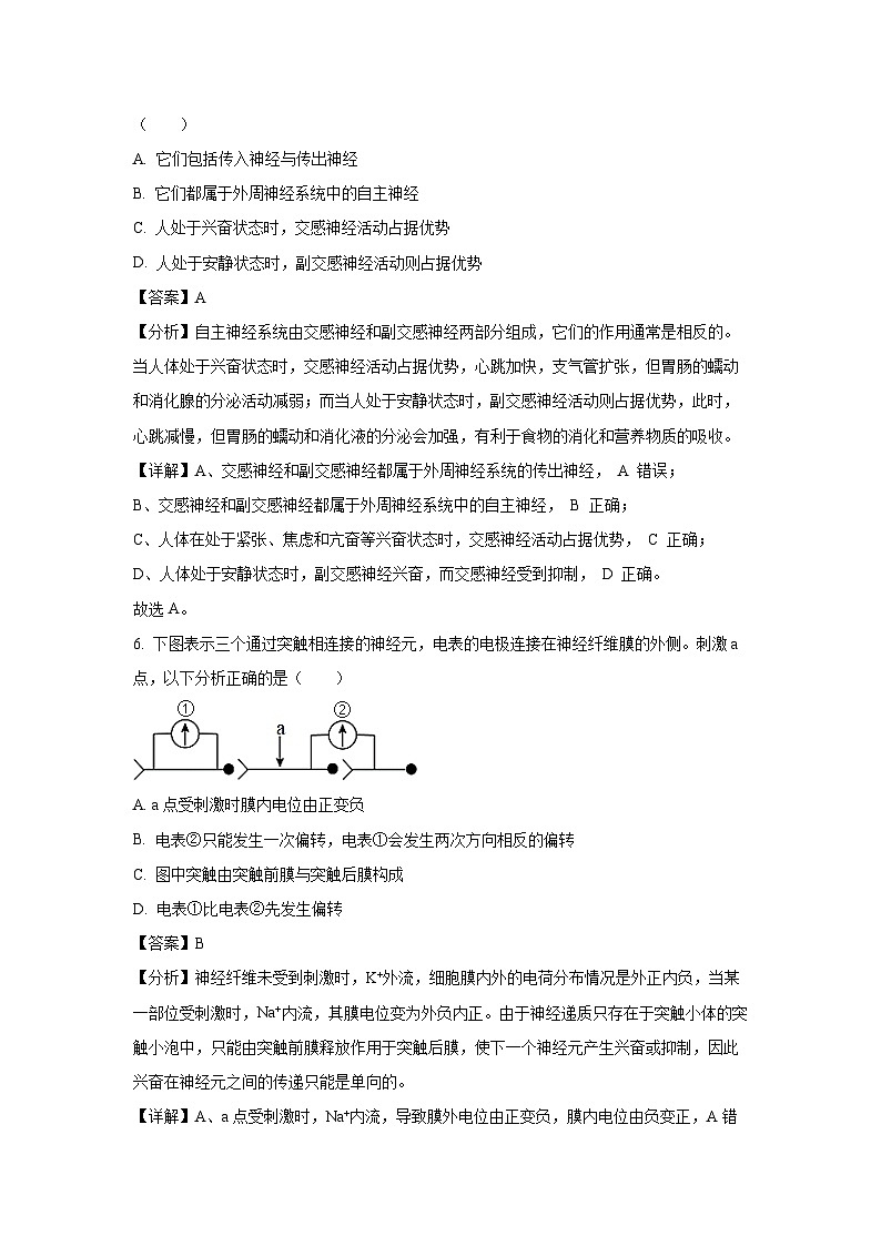 广西壮族自治区玉林市2024-2025学年高二上学期10月联考生物试卷[解析版]03