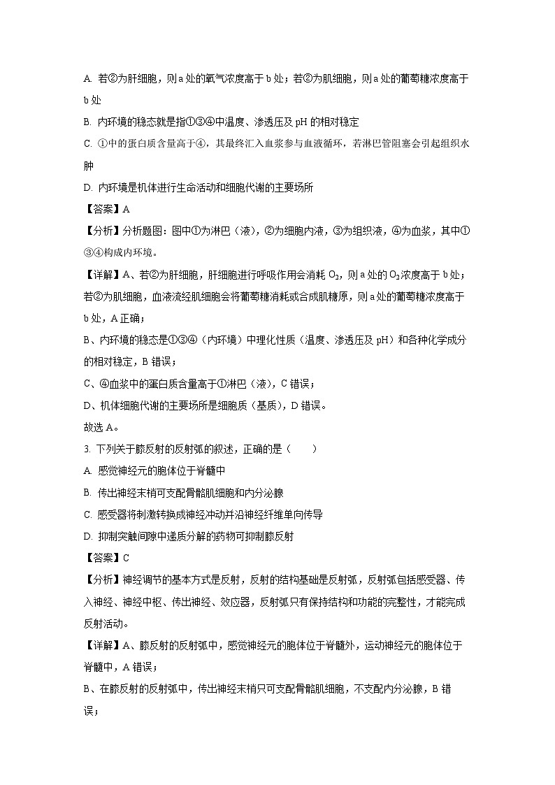 江苏省南京市某校2024-2025学年高二上学期9月阶段考试生物试卷[解析版]02