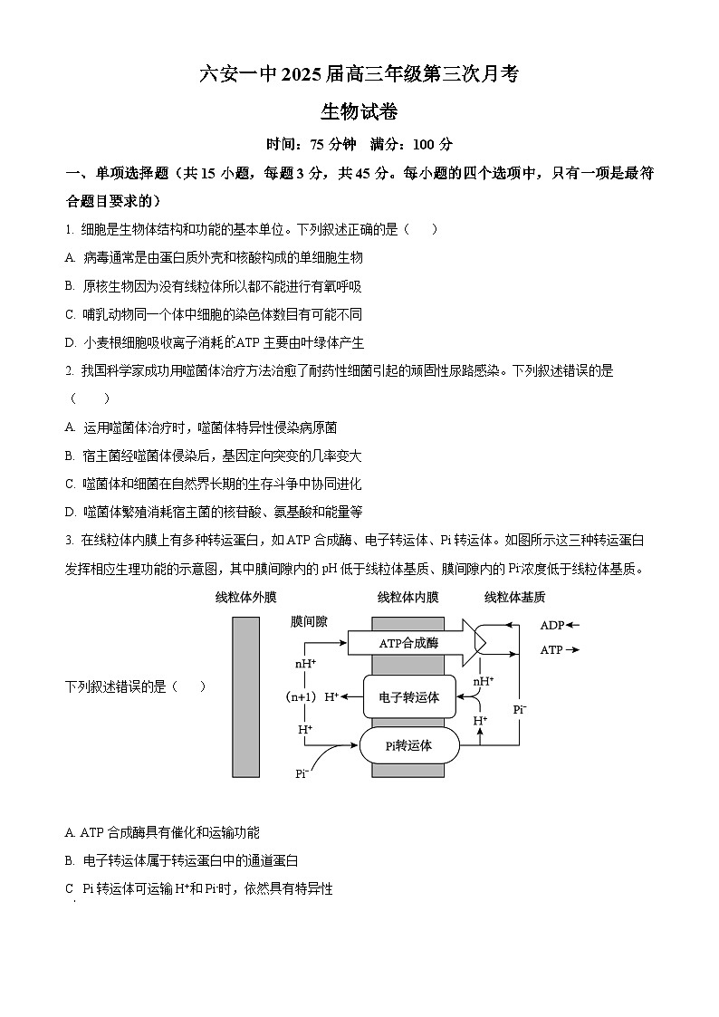安徽省六安市金安区安徽省六安第一中学2024-2025学年高三上学期11月月考生物试题Word版无答案第1页