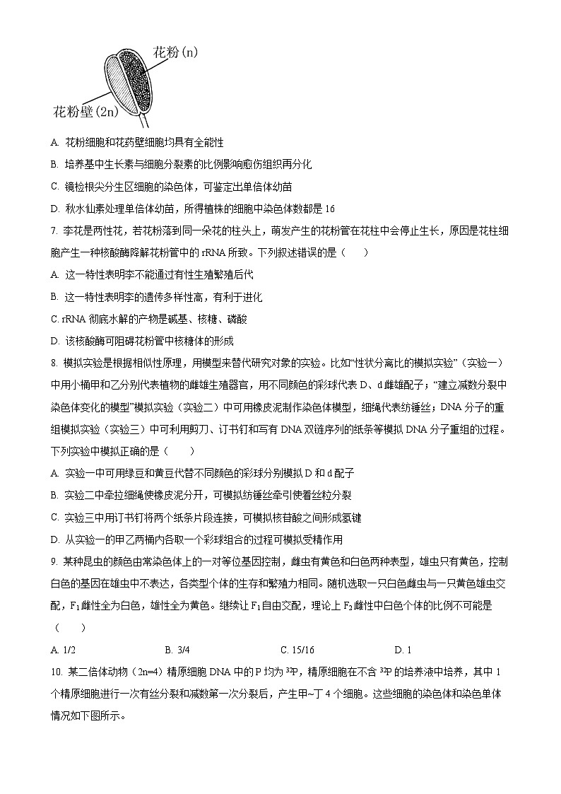 安徽省六安市金安区安徽省六安第一中学2024-2025学年高三上学期11月月考生物试题Word版无答案第3页