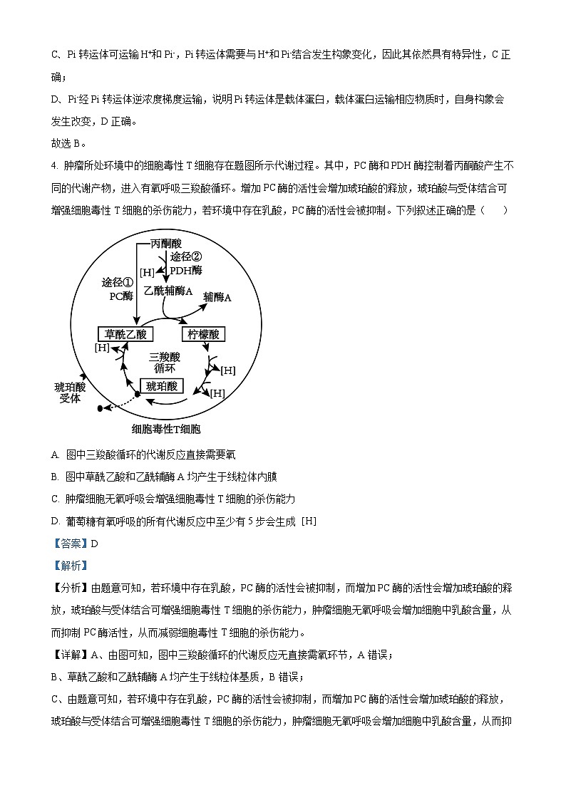 安徽省六安市金安区安徽省六安第一中学2024-2025学年高三上学期11月月考生物试题Word版含解析第3页