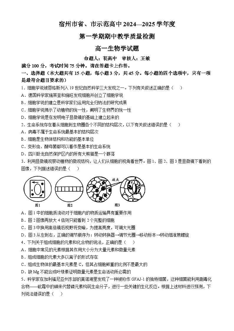 安徽省宿州市省、市示范高中2024-2025学年高一上学期期中联考生物试题（Word版附解析）01