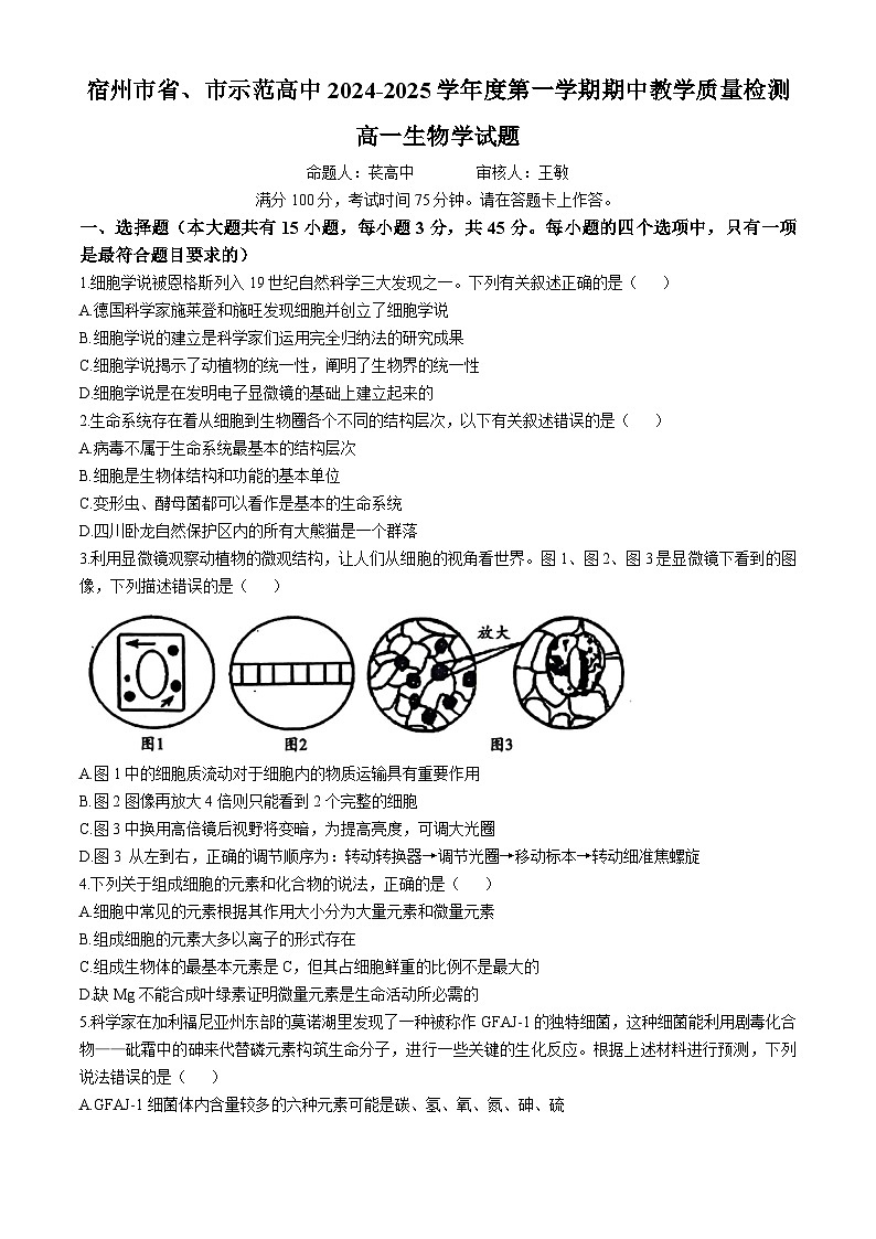 安徽省宿州市皖北联考2024-2025学年高一上学期11月期中生物试题（Word版附解析）01