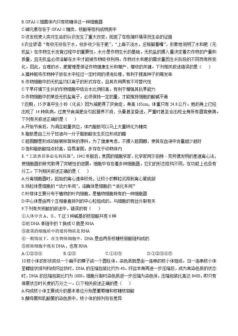 安徽省宿州市皖北联考2024-2025学年高一上学期11月期中生物试题（Word版附解析）02
