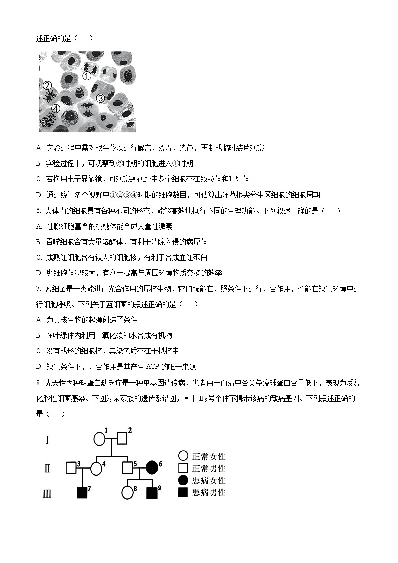 浙江省湖州、衢州、丽水三地市2024-2025学年高三上学期11月教学质量检测生物试卷无答案第2页