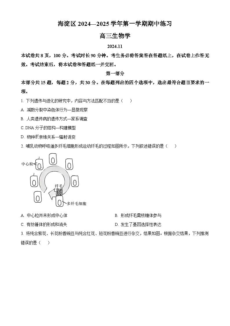 2025北京海淀区高三上学期11月期中考试生物试题含解析01