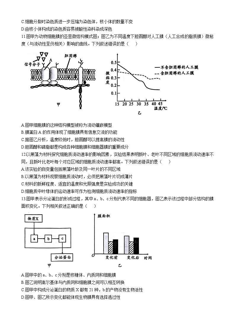 安徽省宿州市皖北联考2024-2025学年高一上学期11月期中生物试题（Word版附解析）第3页