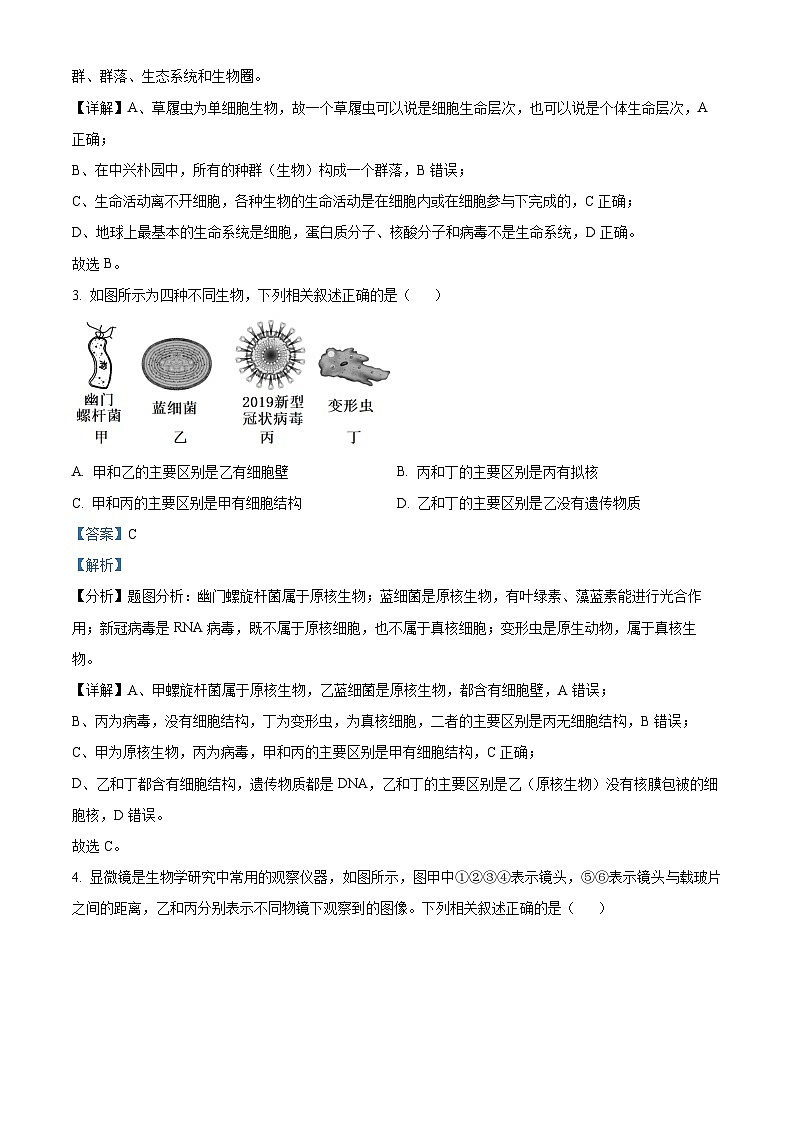 安徽省芜湖市第一中学2024-2025学年高一上学期中考试生物试题Word版含解析第2页