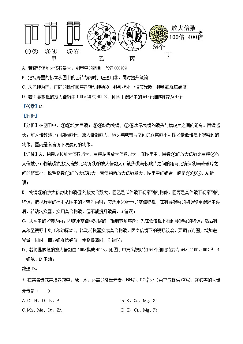 安徽省芜湖市第一中学2024-2025学年高一上学期中考试生物试题Word版含解析第3页