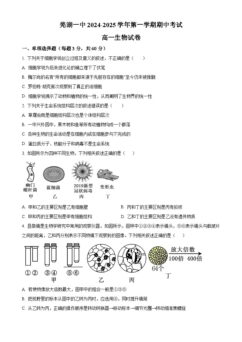 安徽省芜湖市第一中学2024-2025学年高一上学期中考试生物试题Word版无答案第1页
