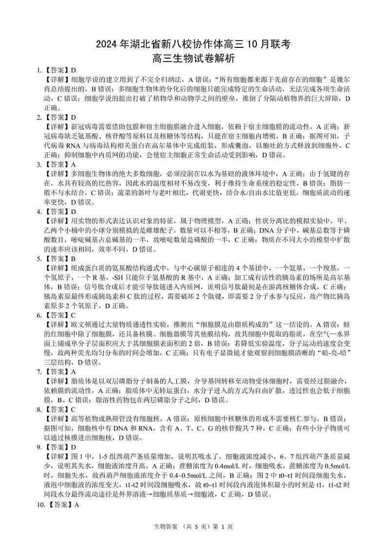 2024年湖北省新八校协作体高三上学期10月联考生物试题01