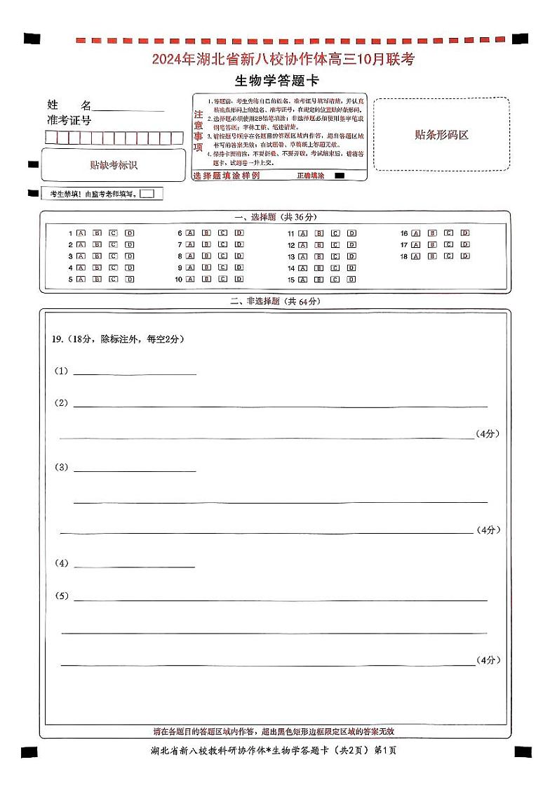 2024年湖北省新八校协作体高三上学期10月联考生物试题01