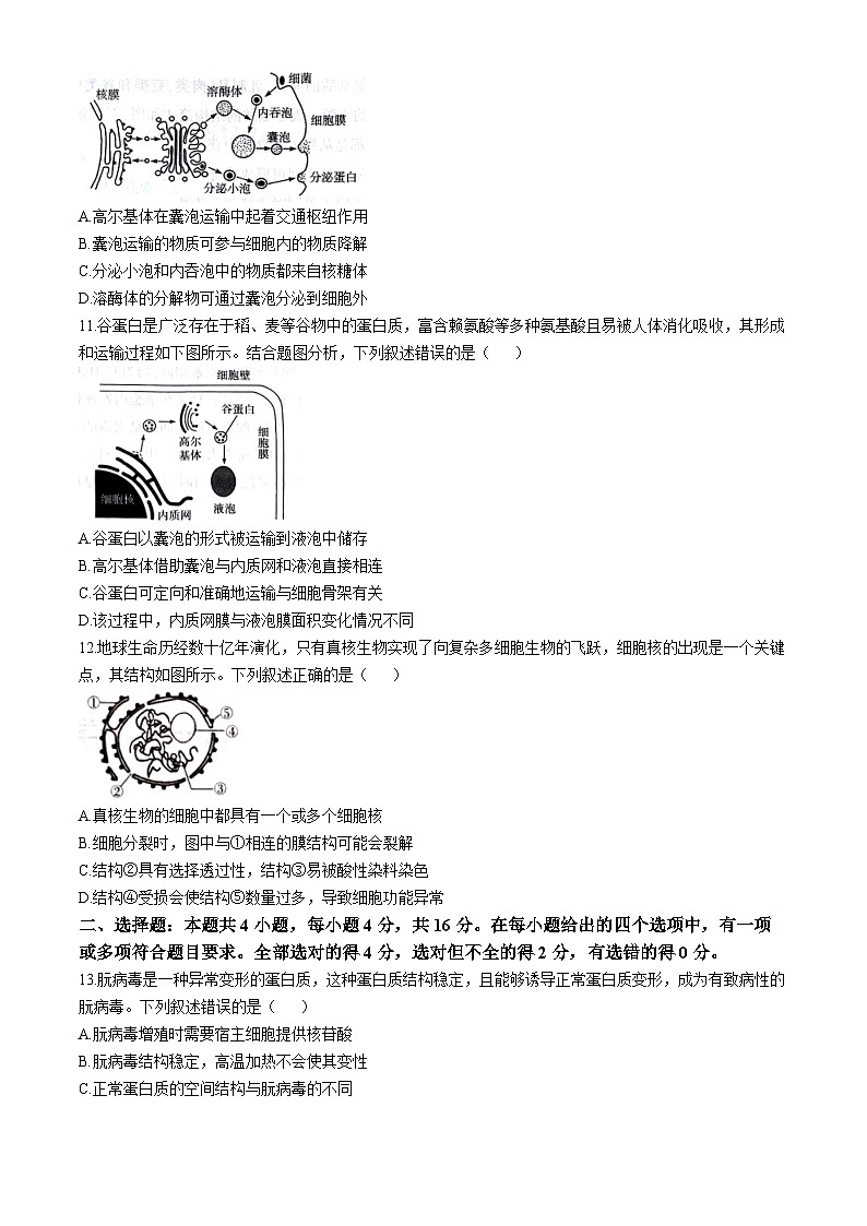 湖南省2024-2025学年高一上学期11月期中生物试题(无答案)第3页