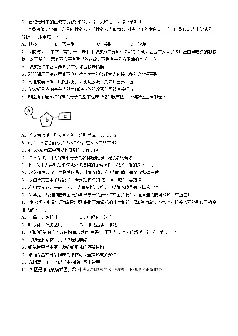 广东省清远市2024-2025学年高一上学期11月期中生物试题(无答案)第2页