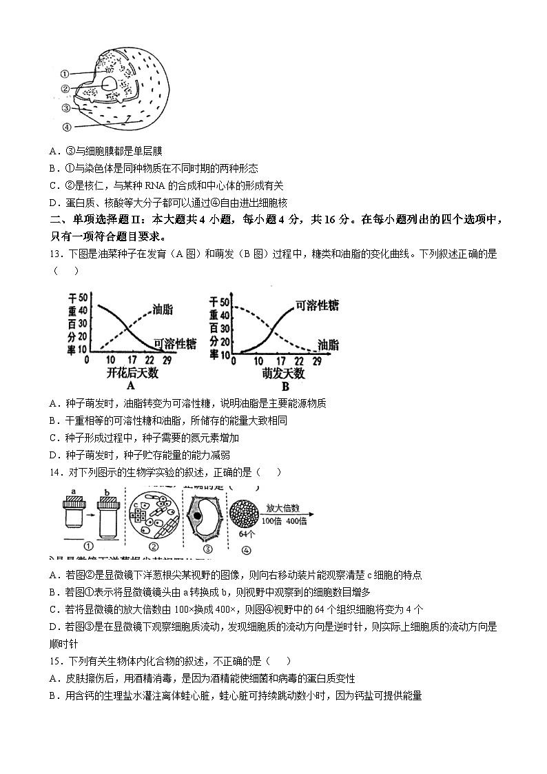 广东省清远市2024-2025学年高一上学期11月期中生物试题(无答案)第3页