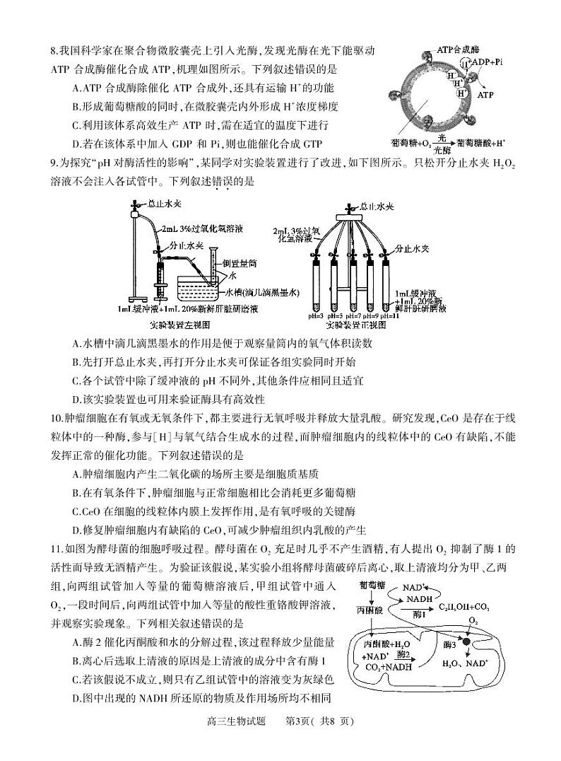 高三生物第3页