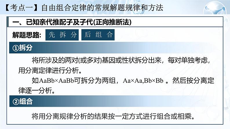 《基因的自由组合定律（Ⅱ）》（课件版权归属“一起课件”，只供个人使用，请勿私自传播，违者必究）第4页