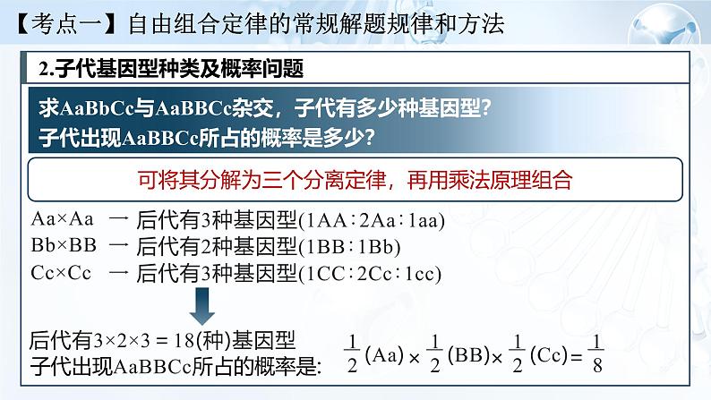 《基因的自由组合定律（Ⅱ）》（课件版权归属“一起课件”，只供个人使用，请勿私自传播，违者必究）第7页