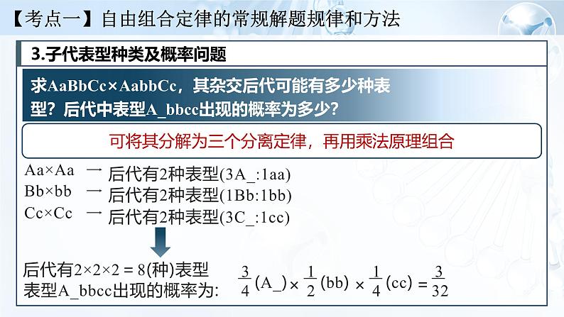 《基因的自由组合定律（Ⅱ）》（课件版权归属“一起课件”，只供个人使用，请勿私自传播，违者必究）第8页