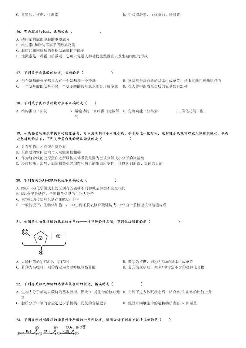 2024～2025学年四川成都天府新区高一(上)期中生物试卷(实外高级中学11月)[原题+解析]第3页