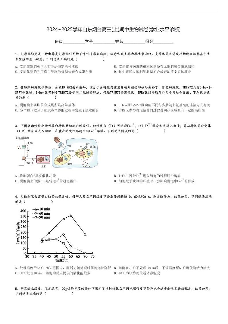 2024～2025学年山东烟台高三(上)期中生物试卷(学业水平诊断)[原题+解析]第1页