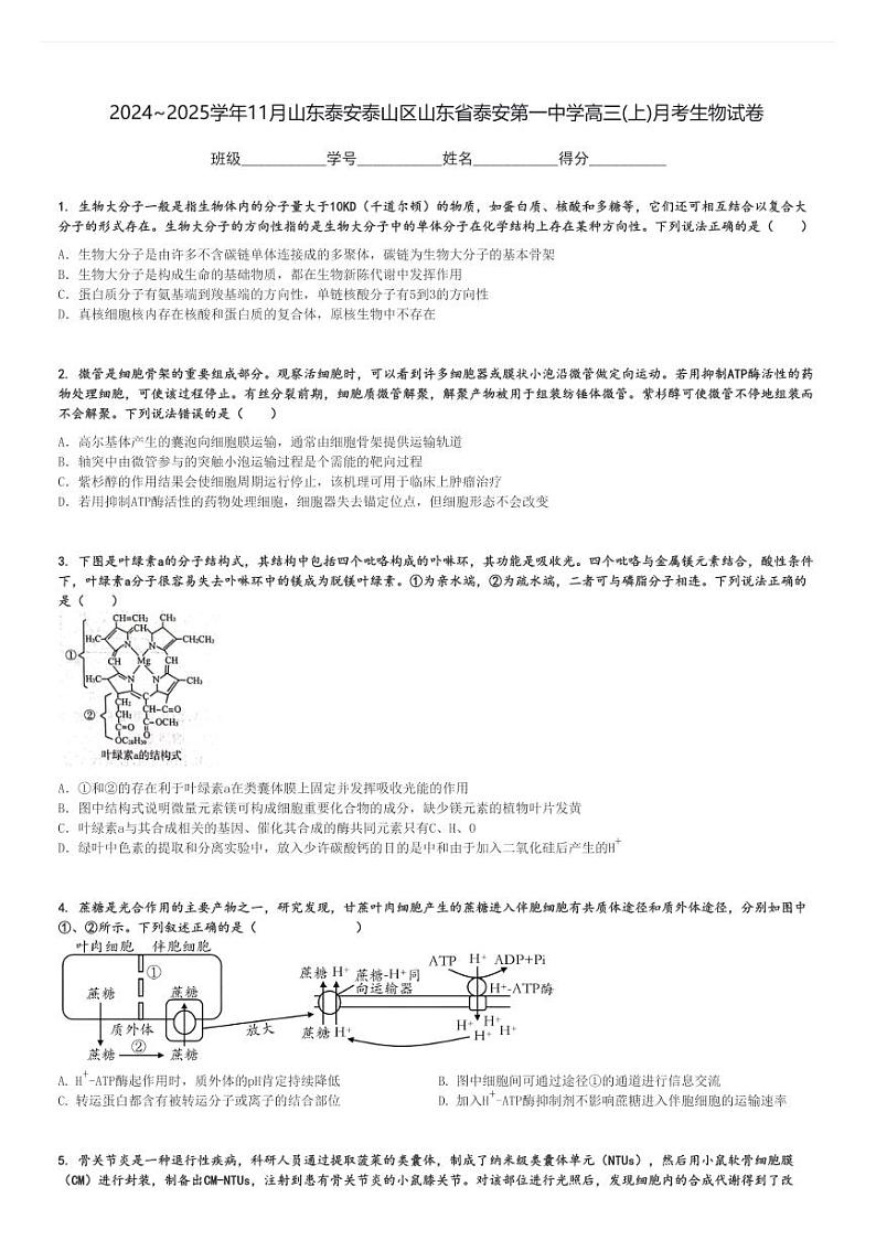 2024～2025学年11月山东泰安泰山区山东省泰安第一中学高三(上)月考生物试卷[原题+解析]第1页